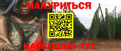гидра Гатчина
