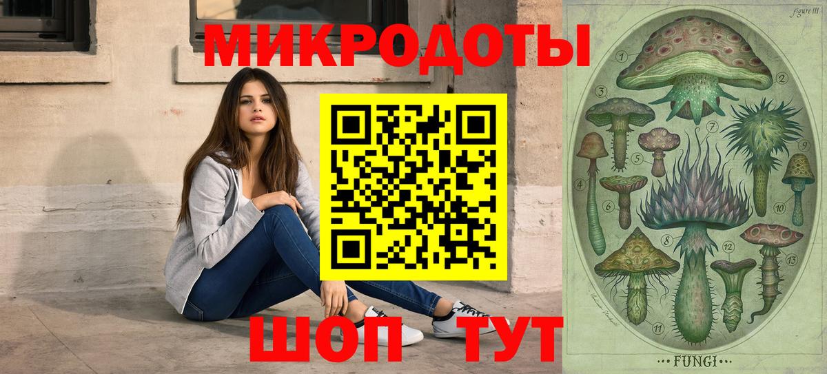 Псилоцибиновые грибы Psilocybe  Вход с VPN  Нижний Тагил 